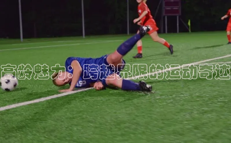 杏耀手机网页登录入口v2